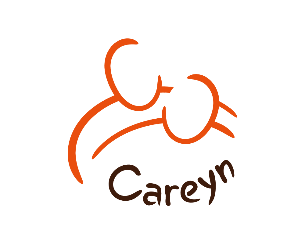 Careyn: visual storytelling